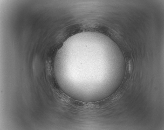 X0000062881059200601271616