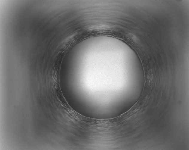 X0000062881062200601271616