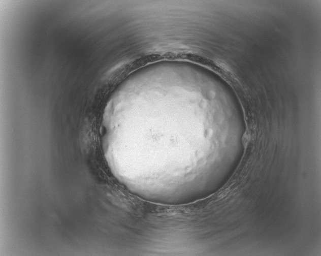 X0000062881063200601271616