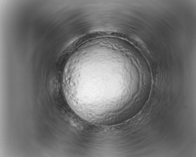 X0000062881064200601271616