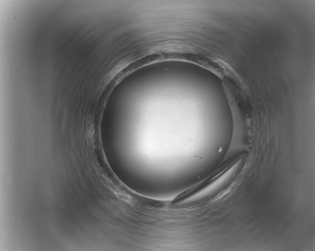 X0000062881065200601271616