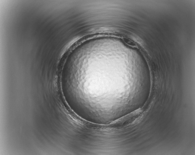 X0000062881066200601271616