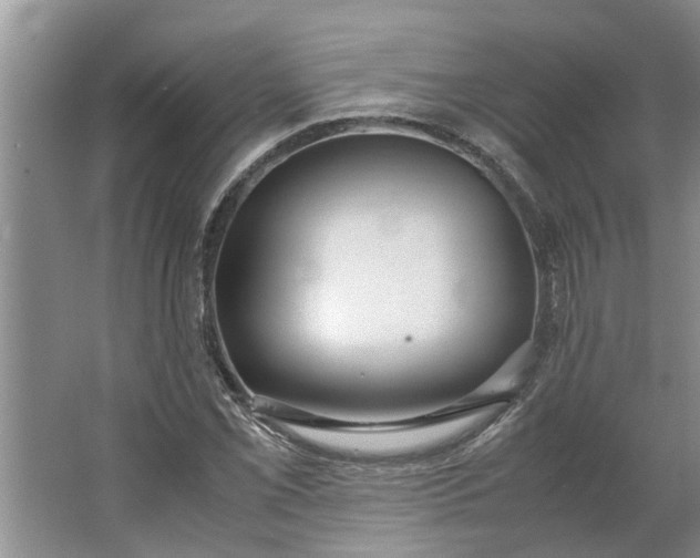 X0000062881069200601271616