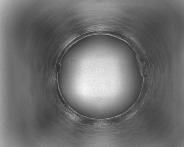 X0000062881073200601271616