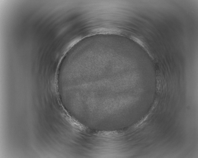 X0000062881074200601271616