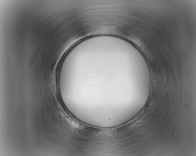 X0000062881078200601271615