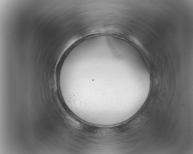 X0000062881079200601271615