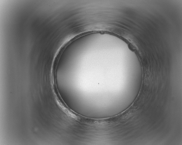 X0000062881080200601271615