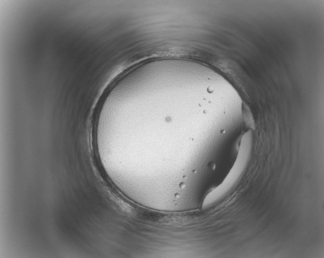 X0000062881083200601271615