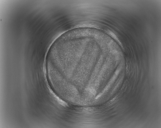 X0000062881084200601271615