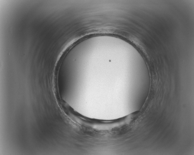 X0000062881085200601271615