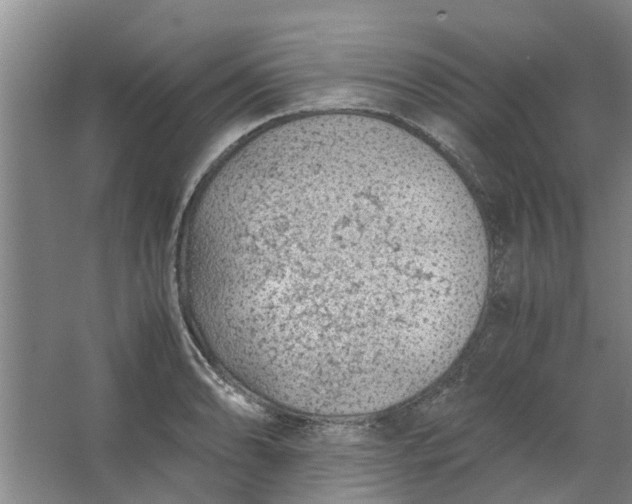 X0000062881086200601271615