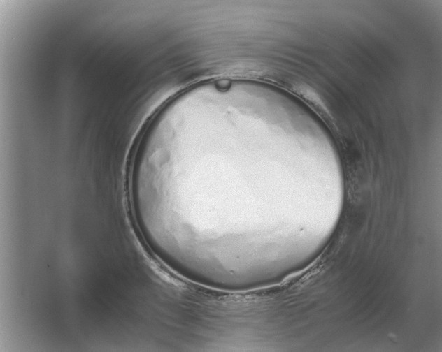 X0000062881087200601271615