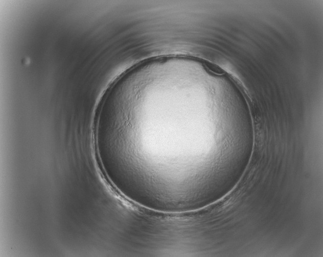 X0000062881088200601271615