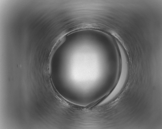 X0000062881089200601271615