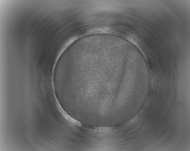 X0000062881090200601271615