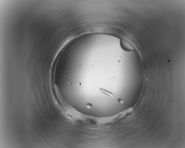 X0000062881091200601271615