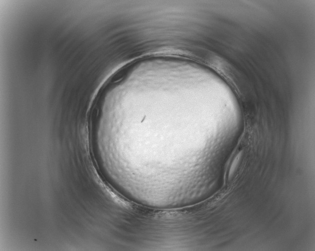 X0000062881092200601271615