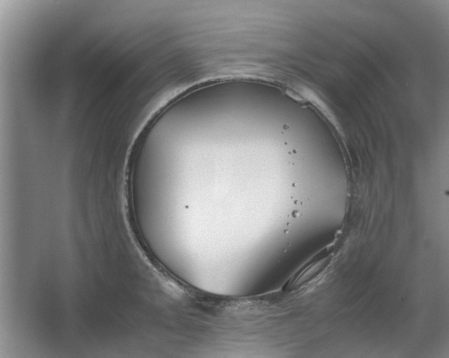 X0000062881093200601271615