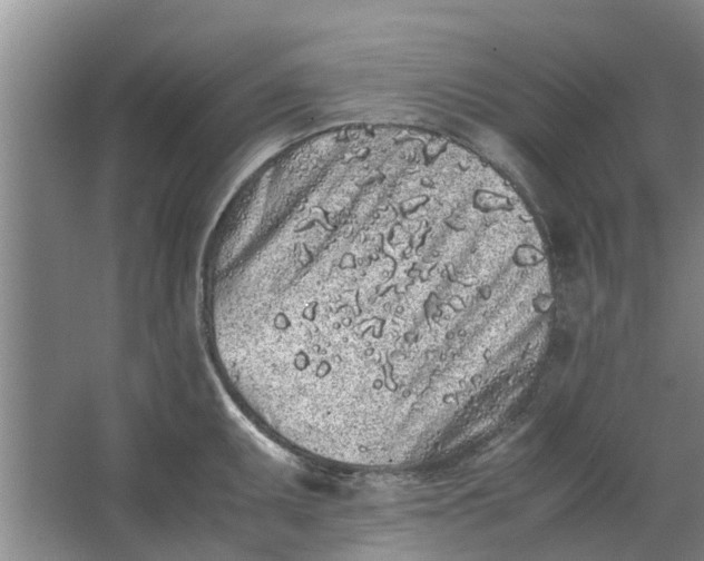 X0000062881095200601271615