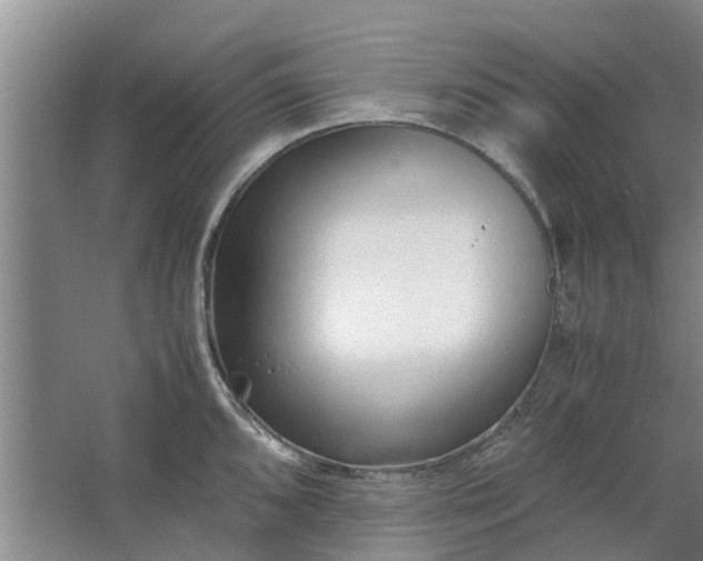 X0000062881096200601271615