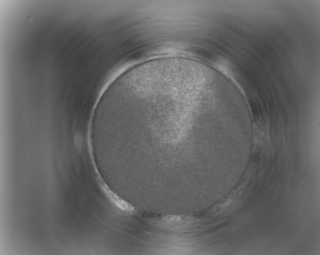 X0000062881098200601271615