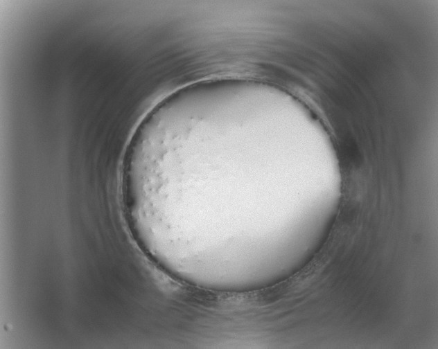 X0000062881099200601271615