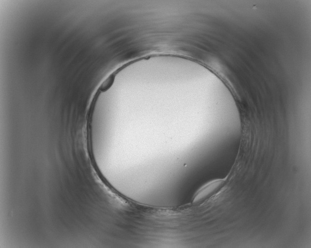 X0000062881100200601271615