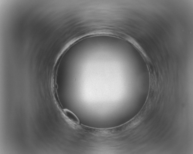 X0000062881101200601271615