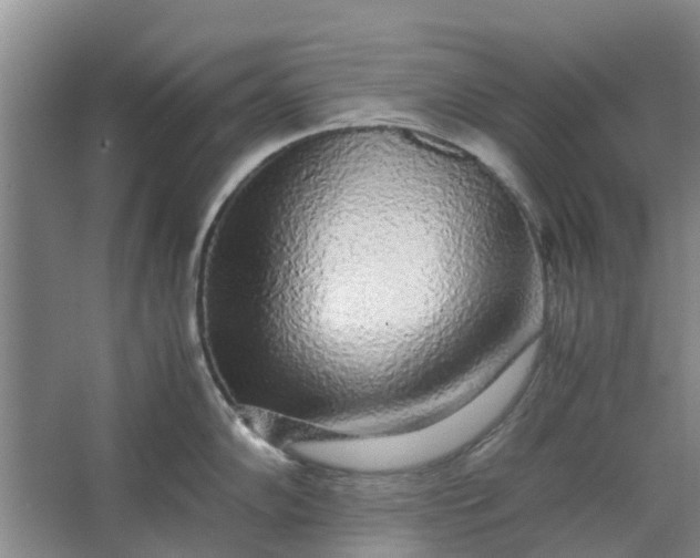 X0000062881102200601271615