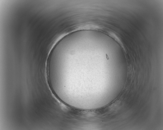 X0000062881103200601271615