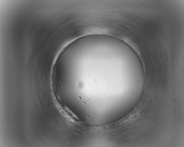 X0000062881104200601271615