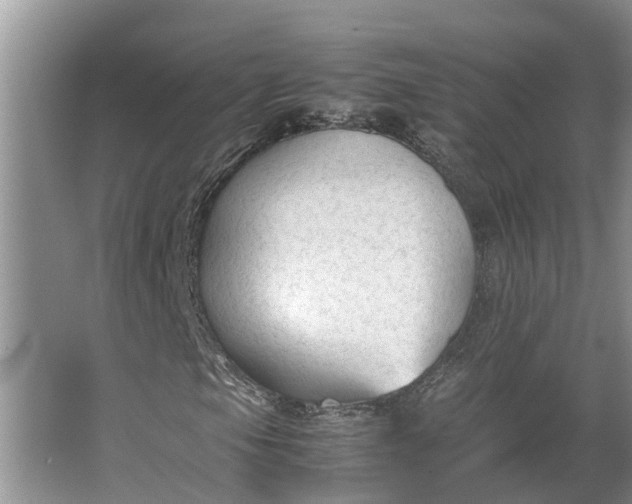 X0000062881105200601271614