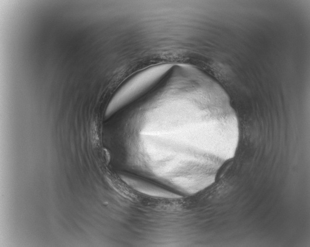 X0000062881106200601271614