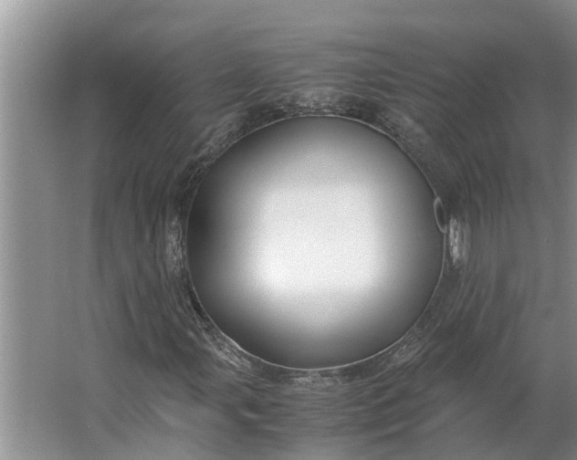 X0000062881107200601271614