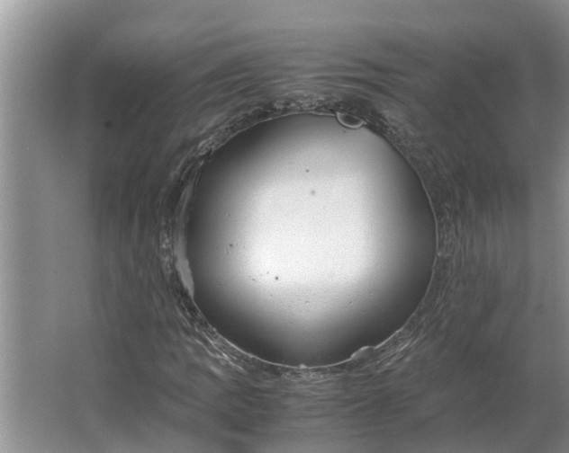 X0000062881109200601271614