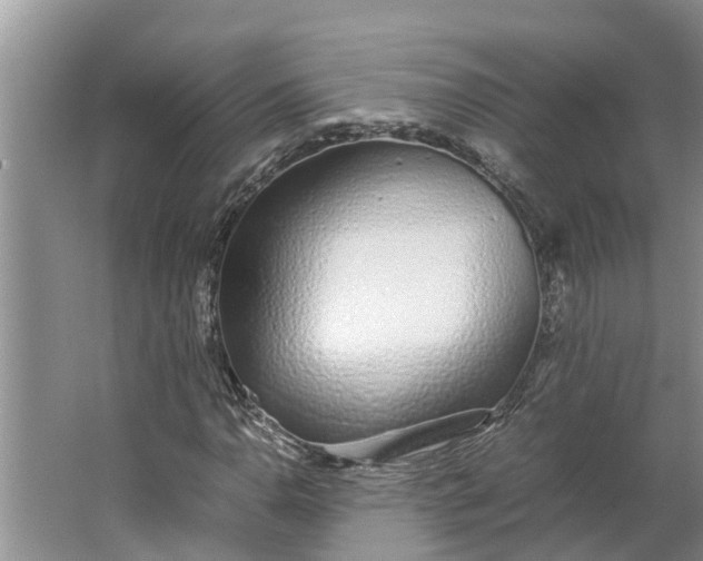 X0000062881110200601271614