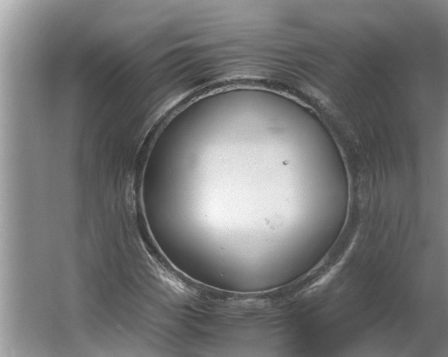 X0000062881113200601271614