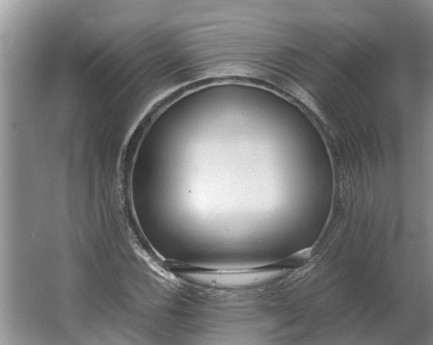 X0000062881116200601271614