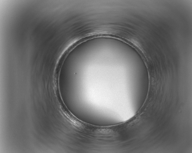 X0000062881119200601271614