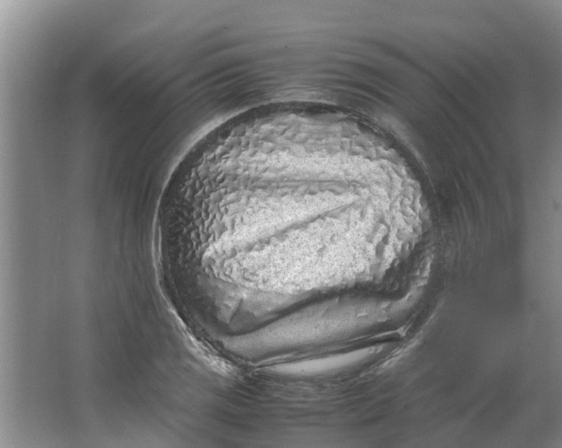 X0000062881125200601271615