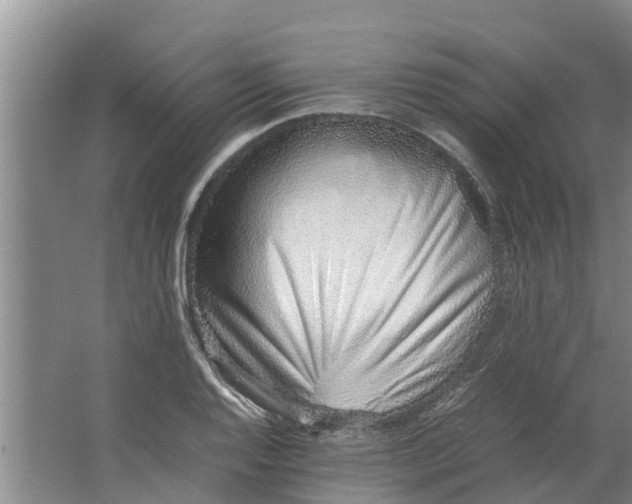 X0000062881128200601271615