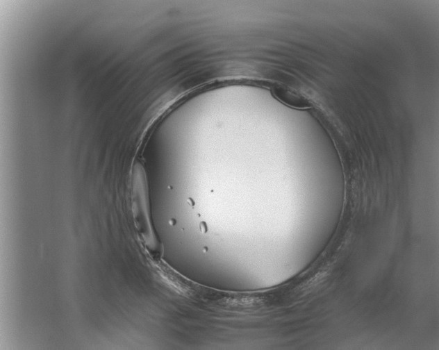 X0000062881129200601271615