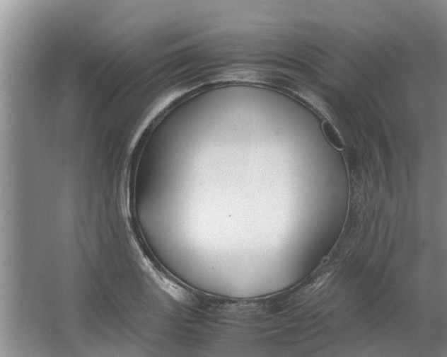 X0000062881131200601271615