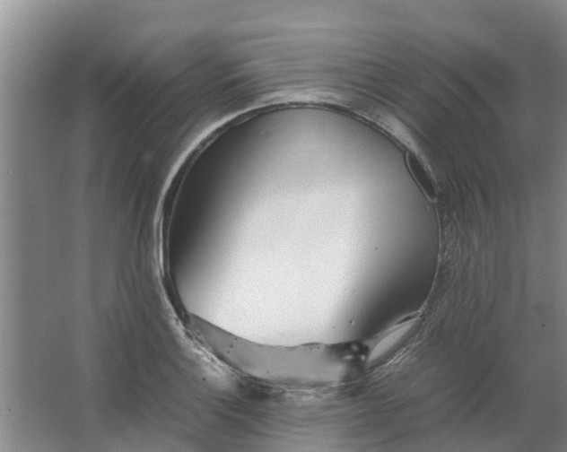 X0000062881132200601271615