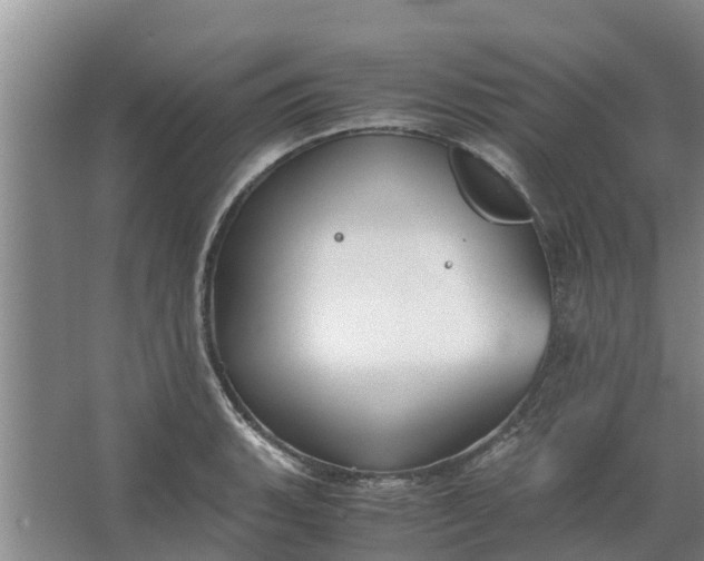 X0000062881135200601271615