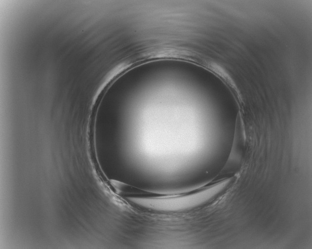 X0000062881138200601271615