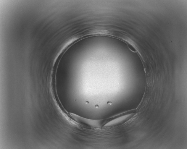 X0000062881139200601271615