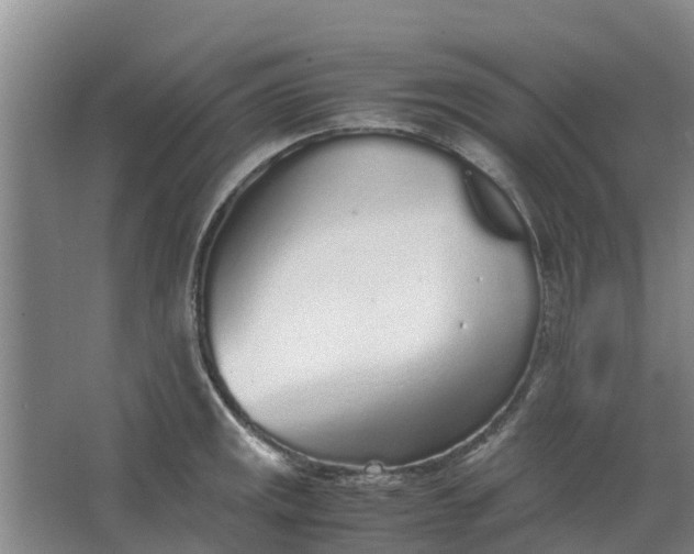 X0000062881141200601271615