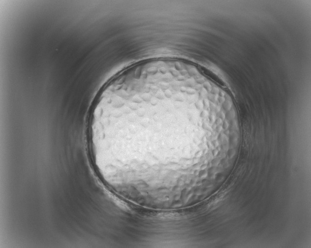 X0000062881142200601271615